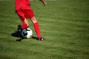 kaiyun中国官方网站-中国篮球职业联赛俱乐部青训体系建设与实践探索，篮球青年训练营