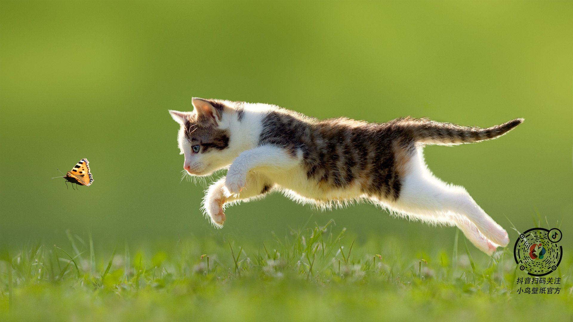 各国足球青训政策对比:推动联赛繁荣的关键,国外足球青训体系