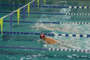 kaiyun中国官方网站-国际游泳精英赛中国队多人破纪录，国际游泳冠军系列赛