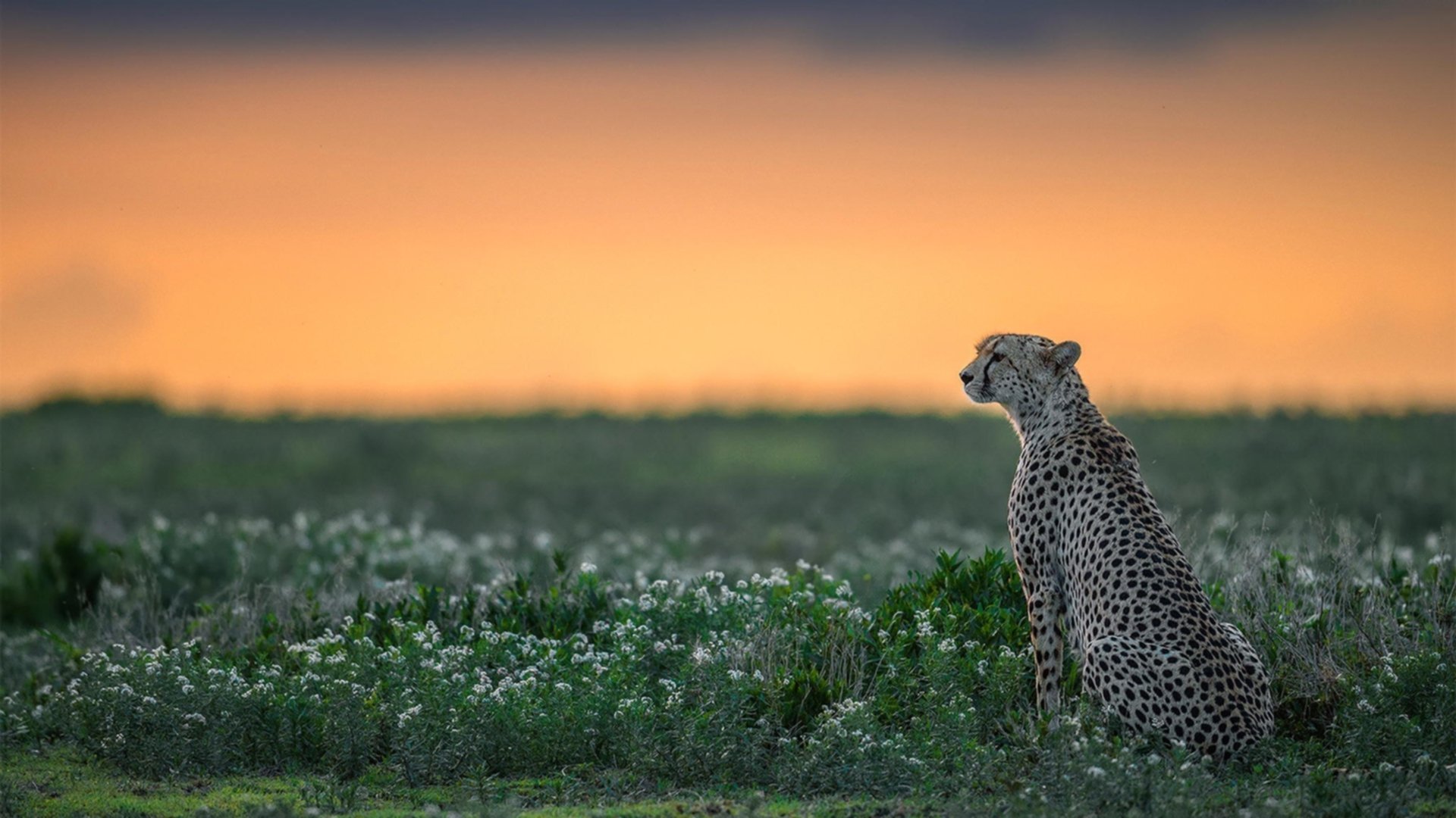 亚洲杯国家队晋级 球员默契配合提升,亚洲杯预选赛国家队名单