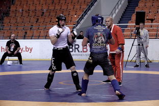 开云官网APP下载-搏击台上竞技水平持续提高，搏击台上竞技水平持续提高怎么办