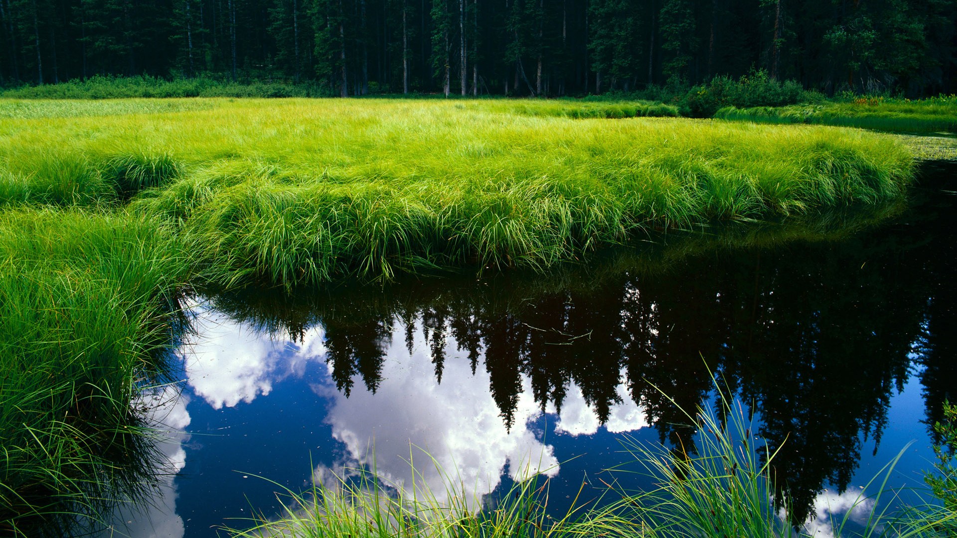 kaiyun体育app-湖中竞技，划出城市活力新曲线，湖中是哪个学校