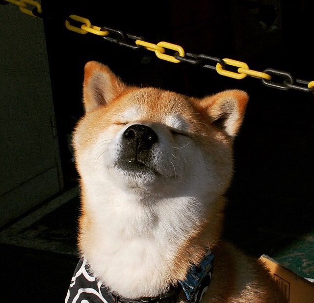 世界杯激情一刻:精彩不断,永不止步!,世界杯精彩片段视频