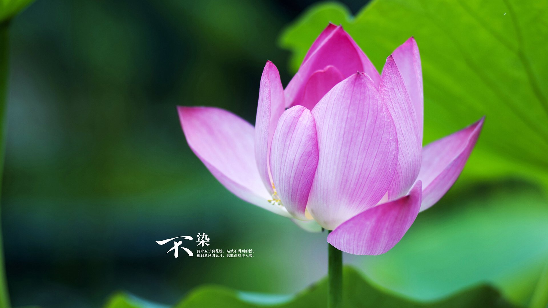 东京奥运闭幕中国奖牌榜第一，东京奥运会奖牌榜中国