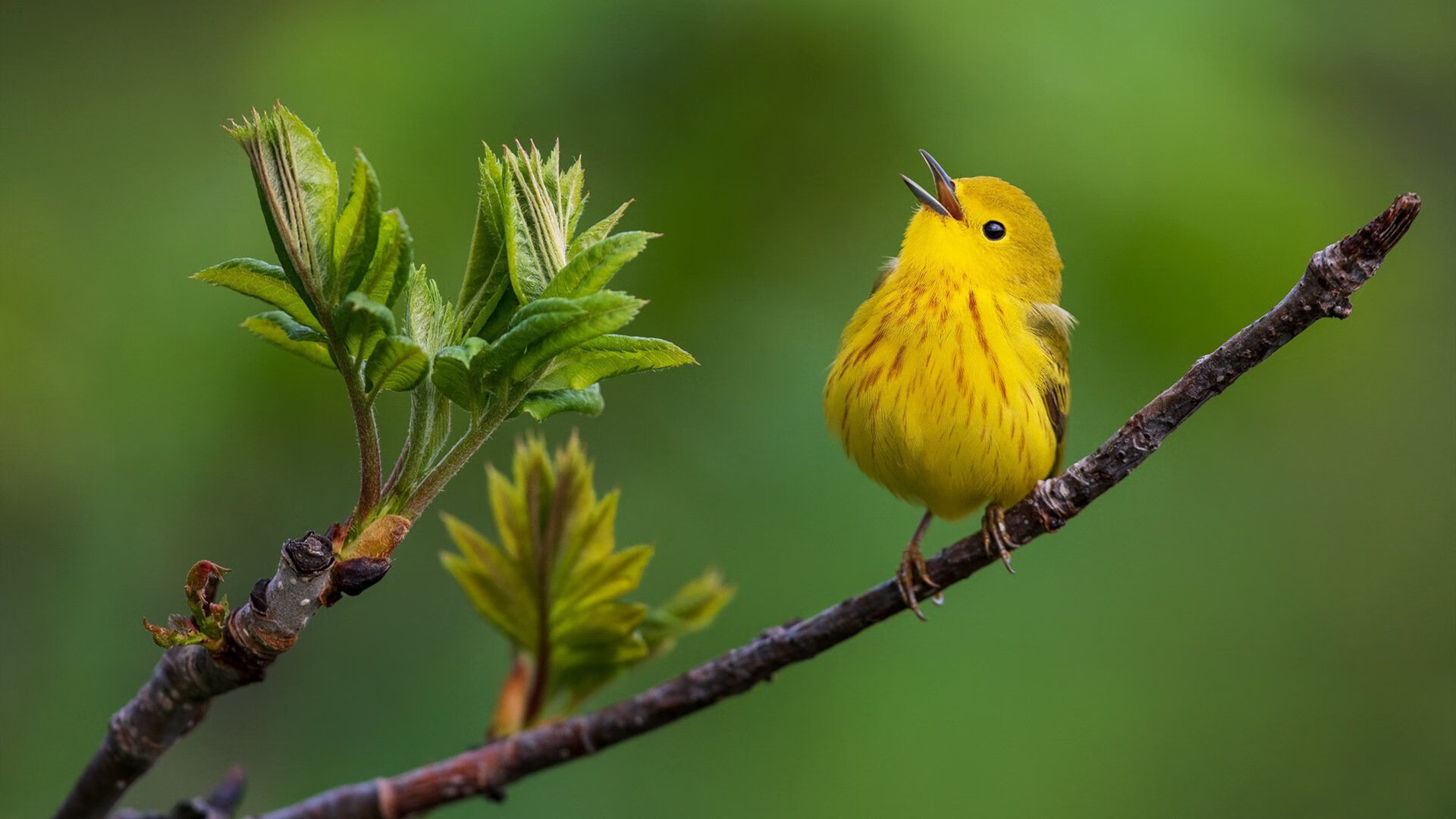 开云入口-中学篮球注重团队协作能力培养塑造比赛意识，篮球队团队培育方案