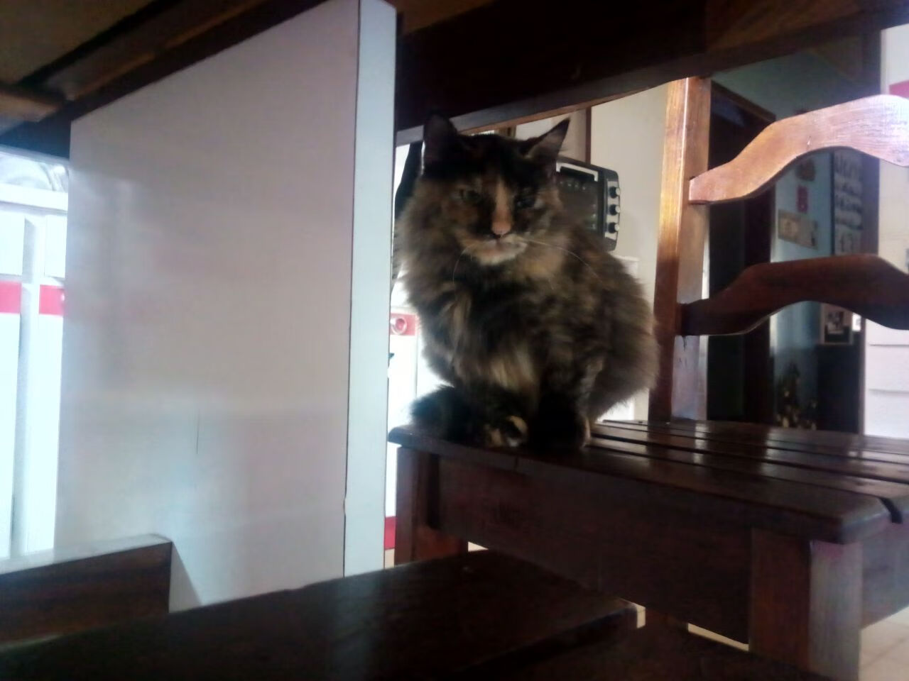 帕特森通过卓越的场上洞察力,为袋鼠队赢得比赛先机,帕特森 美国