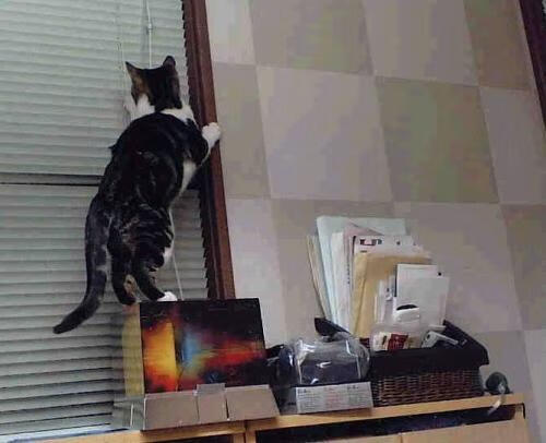 开云体育APP下载-意甲长传反击：瞬间突破的美学展现，意甲集锦