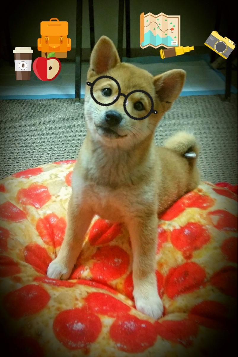 kaiyun中国官方网站-跳水稳定输出摩纳哥锁定奖牌希望，摩洛哥跳水