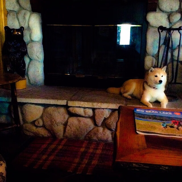 青少年篮球普及课纳入家庭协同项目提升家校共育，青少年篮球教育