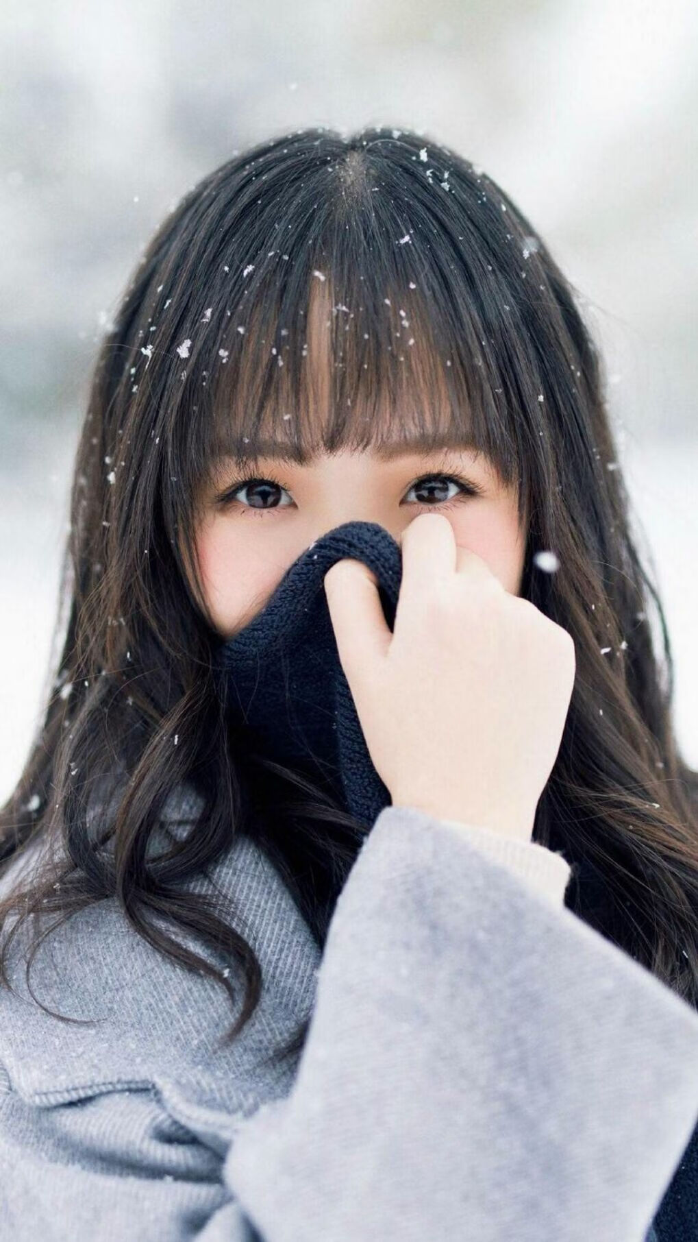 黎巴嫩女篮在西亚锦标赛中崭露头角,勇夺佳绩,黎巴嫩男篮亚洲杯