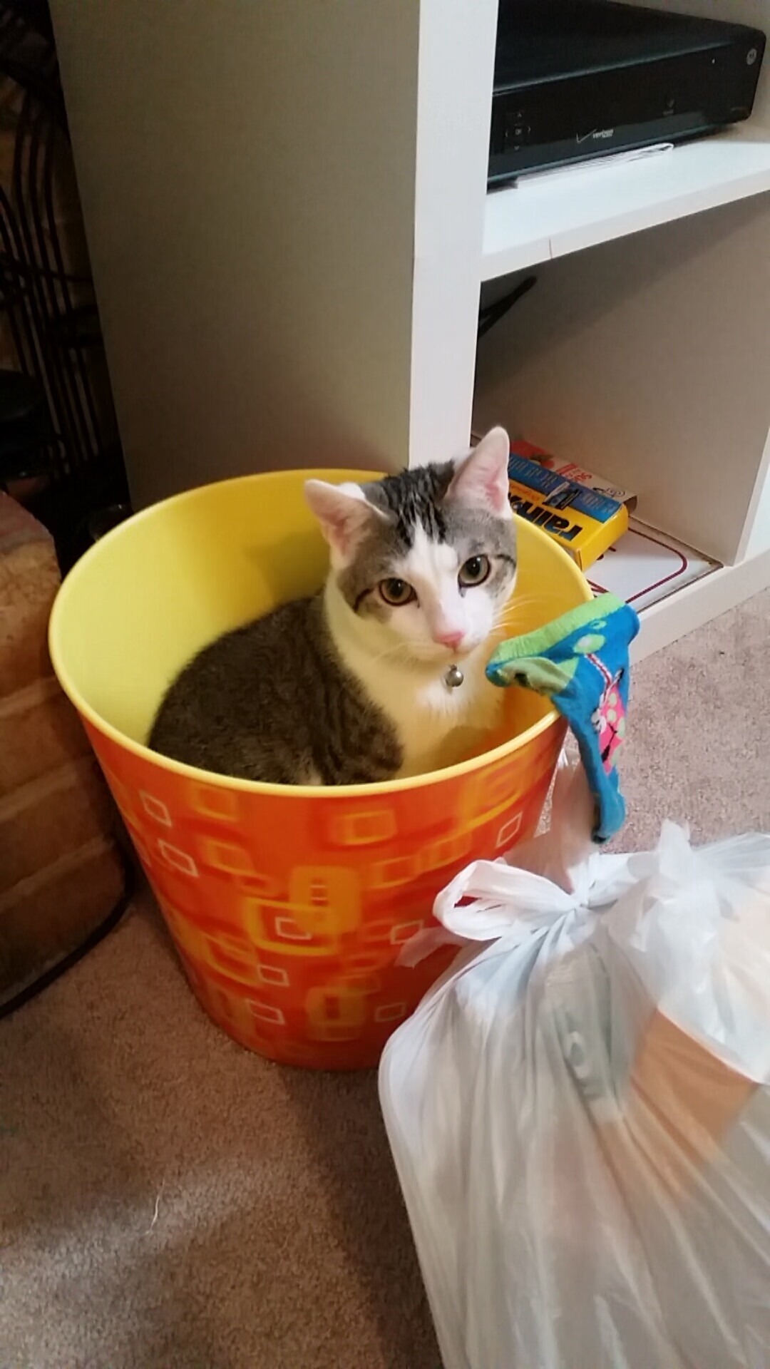 开云网页版-中超是否具备亚洲一流联赛潜质，中超是否具备亚洲一流联赛潜质资格