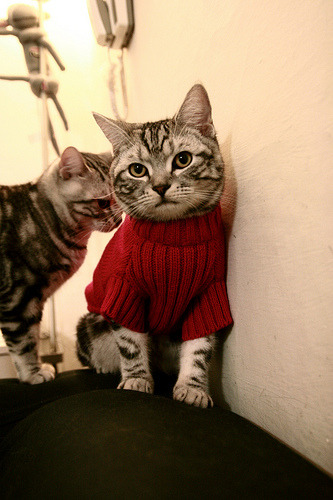 亚洲杯赛场风云再起国足能否突围，国足亚洲杯战绩令人眼前一亮