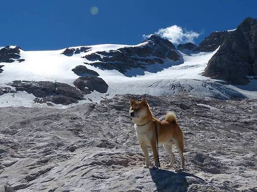 体育新闻中心构建赛事视频分发内容追溯体系平台,体育赛事报道的特点